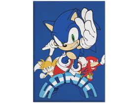 Modrá detská deka Ježko Sonic
