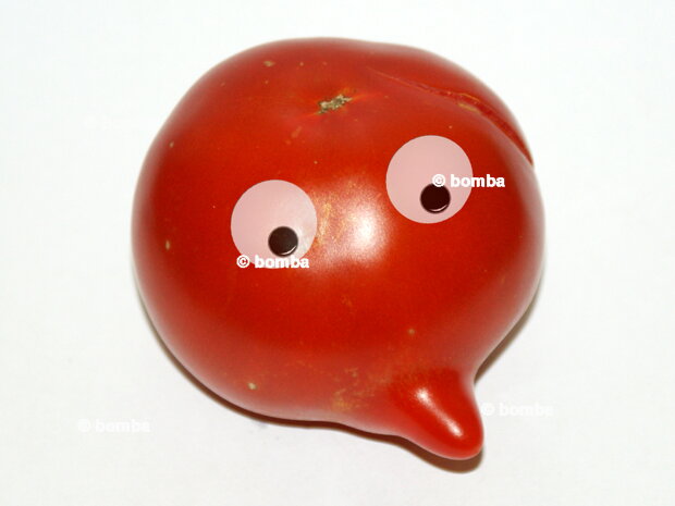 Nosatá paradajka