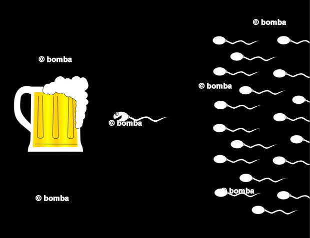 Spermie a pivo