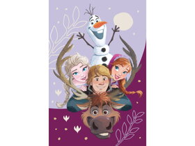 Detská deka Frozen II Family