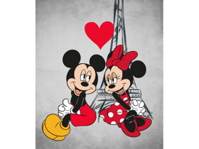 Detská deka Mickey a Minnie Mouse