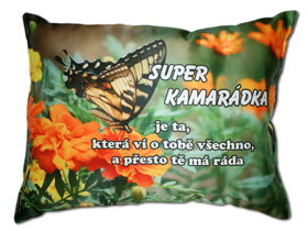 Vankúš s nápisom Super kamarátka CZ