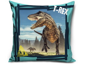 Detský vankúš Dinosaury II