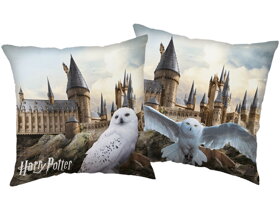 Dekoračný vankúš Harry Potter - Hedviga