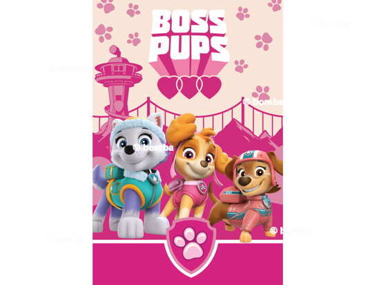 Detská deka Paw Patrol Boss Pups