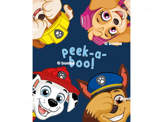 Detská deka Paw Patrol II