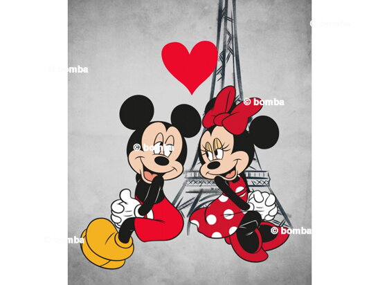 Detská deka Mickey a Minnie Mouse