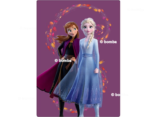 Detská deka Frozen II Anna a Elsa