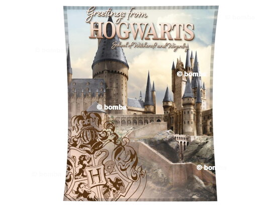 Detská deka Harry Potter Hogwarts