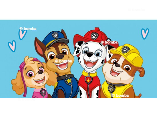 Detská osuška Paw Patrol šteniatka