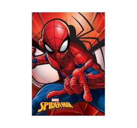 Detská deka Spiderman
